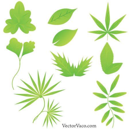 Green Leaf Vector Free Download Vector for Free Download | FreeImages