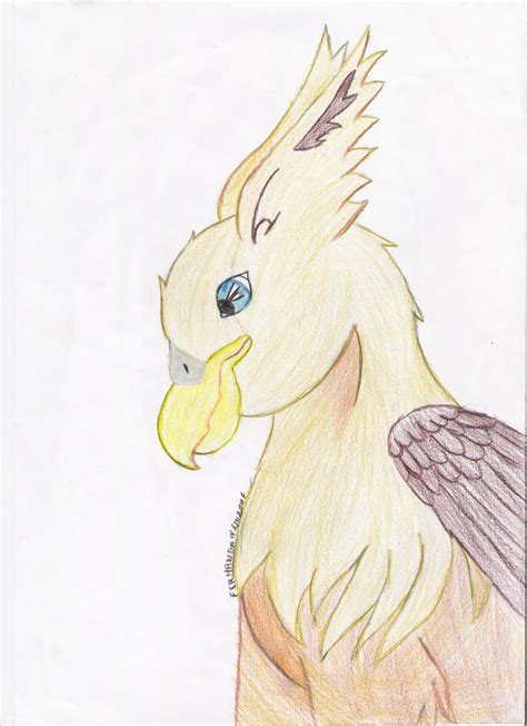 Griffon by Lulabys-Art on DeviantArt