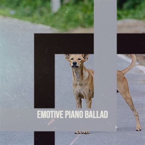 Emotive Piano Ballad Compilation By Various Artists Spotify