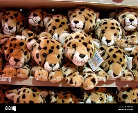 Plush tiger toys are seen on display at the Toys R Us store Stock Photo ...