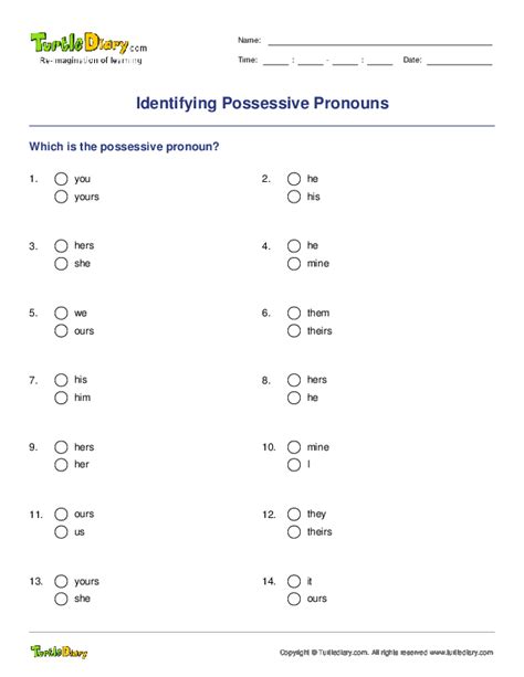 Identifying Possessive Pronouns Turtle Diary Worksheet