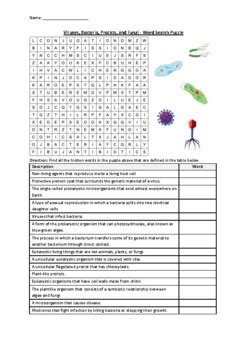 Viruses Bacteria Protists And Fungi Word Search Puzzle Activity