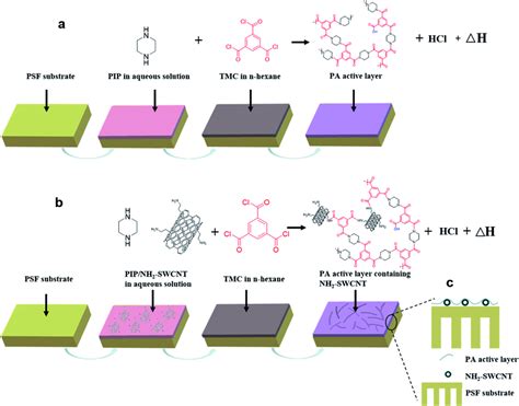 Schematics Of The Interfacial Polymerization Process And The Resultant