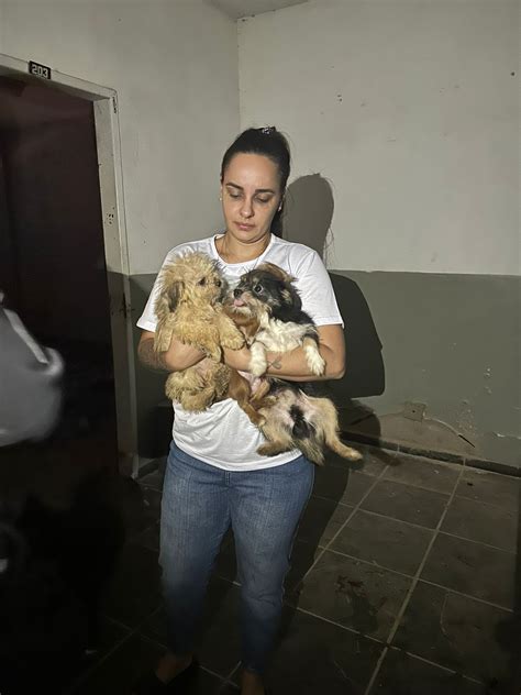 A Gazeta Maus Tratos Oito Animais S O Resgatados De Apartamento Em