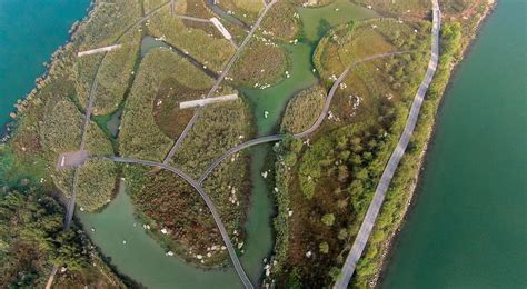 River Forest Island by SWA Group — Landscape Architecture Platform ...