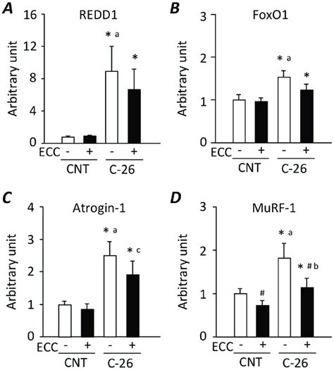 ECC Training Inhibits Increases In E3 Ubiquitin Ligase MuRF1 MRNA In