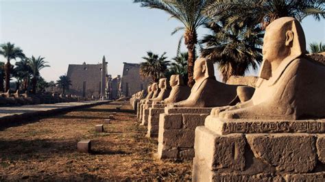 Egypt Opens Luxor S Ancient Avenue Of Sphinxes To Great Fanfare Abc