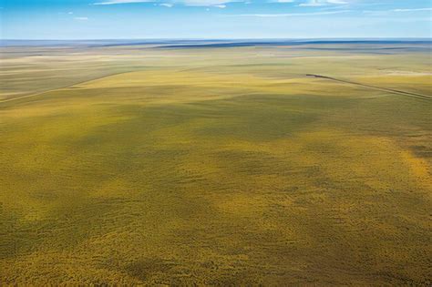 Premium AI Image | Aerial view of the yellow steppe Spring steppe