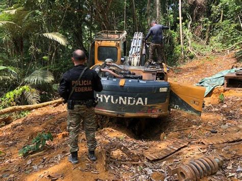 PF e ICMBio combatem garimpo ilegal de ouro em área de proteção