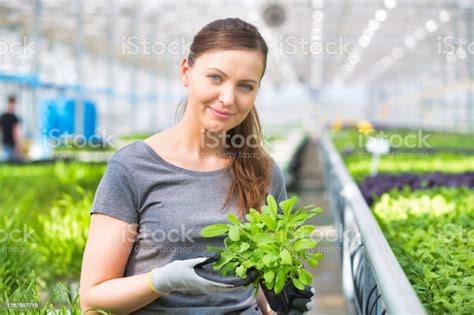 Portrait Of Beautiful Female Botanist Holding Seedling In Plant Nursery