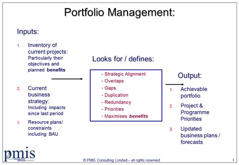 Project Portfolio Management An Overview And Guidance