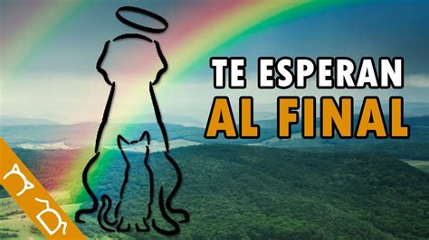 La Leyenda Del Puente Del Arco Iris De Las Mascotas YouTube