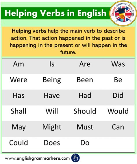 Main Verb And Helping Verbs Exercises