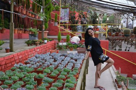 Sri Lankan Actresses Udayanthi Kulathunga Hot Photos