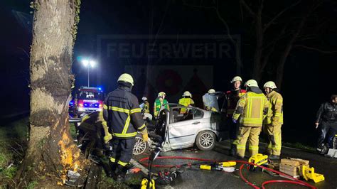 Fahrer Wollte Reh Ausweichen Bmw Prallt Mit Vier Insassen Frontal