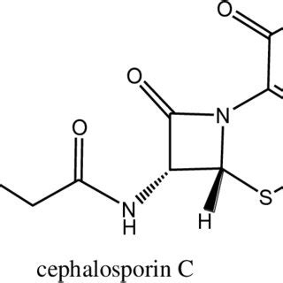 Chemical structure of cephalosporin C. | Download Scientific Diagram