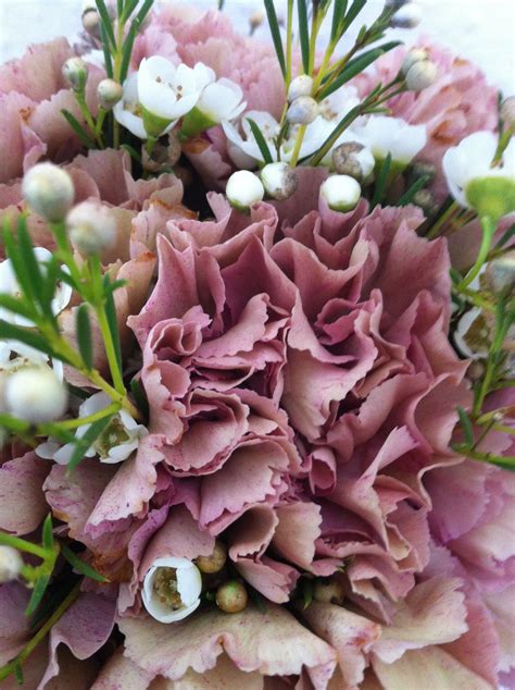 Vintage Carnations And Wax Flower