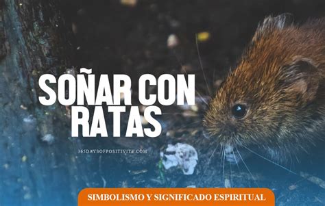 Qu Significa So Ar Con Ratas Simbolismo Y Significado Espiritual De