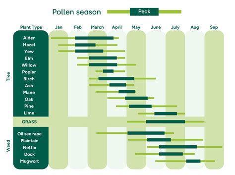 UK pollen count calendar | Holland & Barrett
