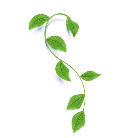 Creeping Green Leaves Green Leaf Creeping Leaves Greenery PNG And