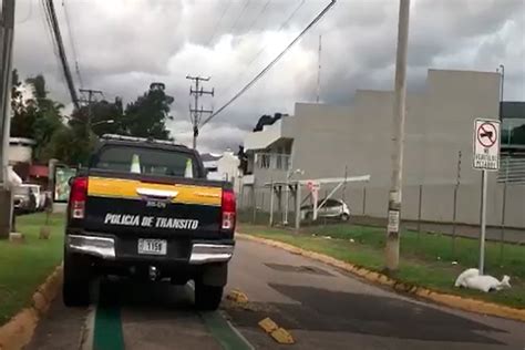 Ciclista Obliga A Oficial De Tr Nsito A Mover Veh Culo De Ciclov A