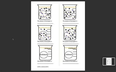 SOLVED Texts Diffusion And Osmosis Worksheet Modified The