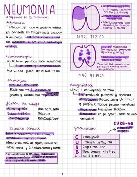 Medicina Interna Neumon A Adquirida En La Comunidad Valeria Michell