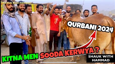 Live Deal Kitne Me Sooda Kerwaya Qurbani Cow Mandi Shauk