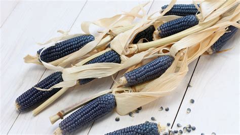 14 Corn Varieties You May Not Have Heard Of