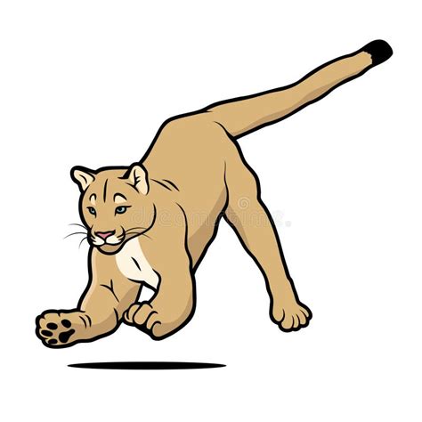 Cougar Cartoon Drawing Download this premium vector about cartoon ...