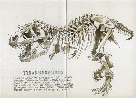 Simple t rex skeleton drawing - upfengineer