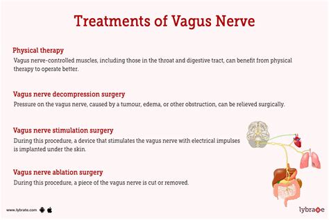 Vagus Nerve Human Anatomy Image Functions Diseases And Treatments