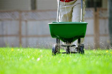 10 Best Weed And Feed For Lawns 2024 Top Picks