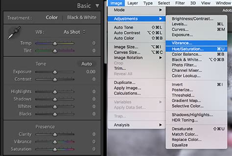 Vibrance Vs Saturation In Photography Which One To Use Expertphotography