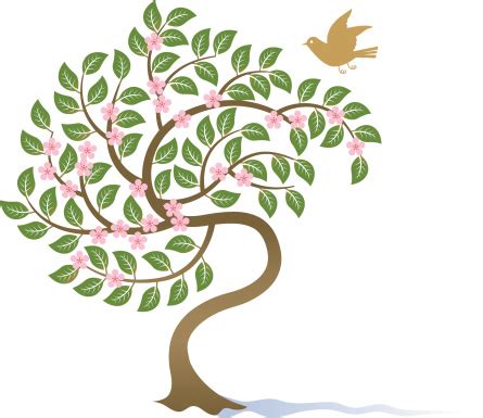 pohon berbunga ilustrasi stok  gambar  pohon bonsai