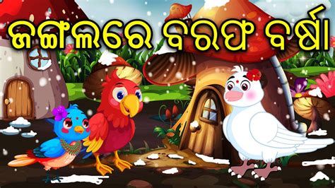 Jangala Re Barafa Barsha Birds Story Gapo Odia Story Bird