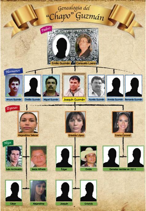 Family tree for Mexico’s “El Chapo” Guzman - Narco Confidential