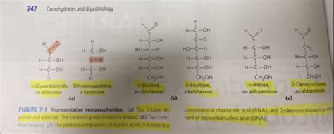 Biochemistry Carbohydrates And Glycobiology Diagrams Flashcards Quizlet