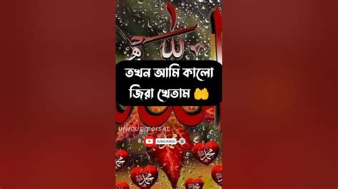 আল্লাহ যে কত মহান সৃষ্টি জগৎ 🥰🤲🥀 Shorts Islamic Trendingshorts Youtube