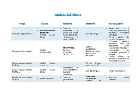 Núcleos del tálamo Rosangela Vásquez Gallardo uDocz