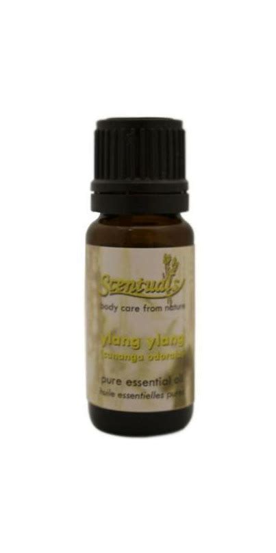 Buy Scentuals Pure Essential Oil 10 Ml Online In Canada Free Ship 29