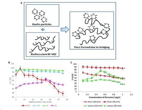 A Schematic I Proposed Flocculation Mechanism Of Bridging Of