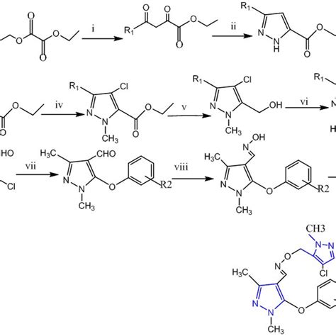 Scheme Procedure For Synthesis Of Bis Pyrazole Oxime Reagents And