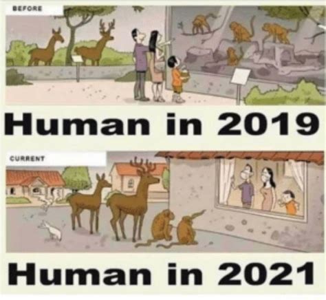 Animal Intelligence Vs Human Intelligence - Human in 2019 Human in 2021 ...