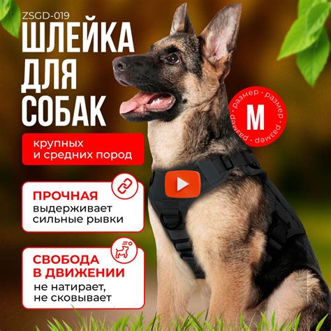 Шлейка для собак средних и крупных пород TAYMLUX ZSGD-019, жилетка ...