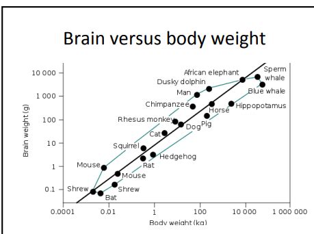 Previous Neuro Exams Flashcards Quizlet