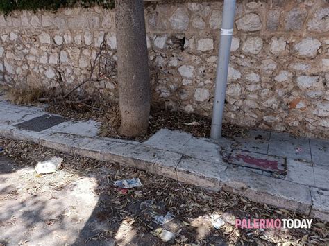 Sferracavallo Nell Abbandono In Via Plauto I Residenti Ripuliscono La