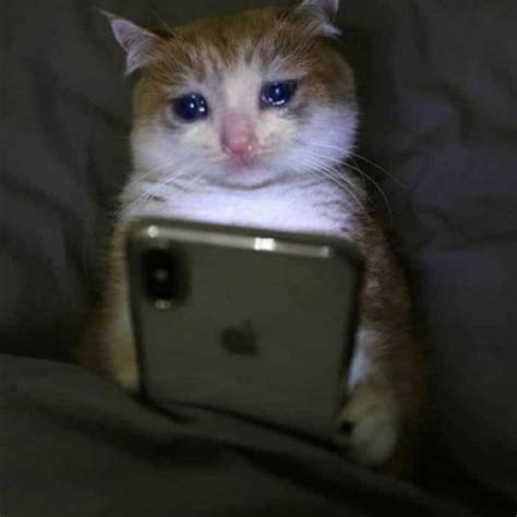 Stream Anh Nên Yêu Cô Ấy Remix Hot TikTok by 𝓛𝓮𝓶𝓸𝓷 Listen online for free on SoundCloud