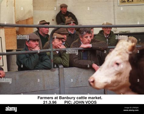 Farmers At Banbury Cattle Market Stock Photo Alamy