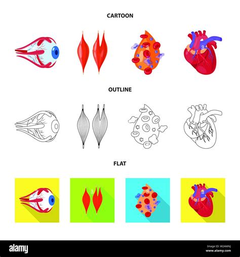 Vector Design Of Biology And Scientific Symbol Set Of Biology And